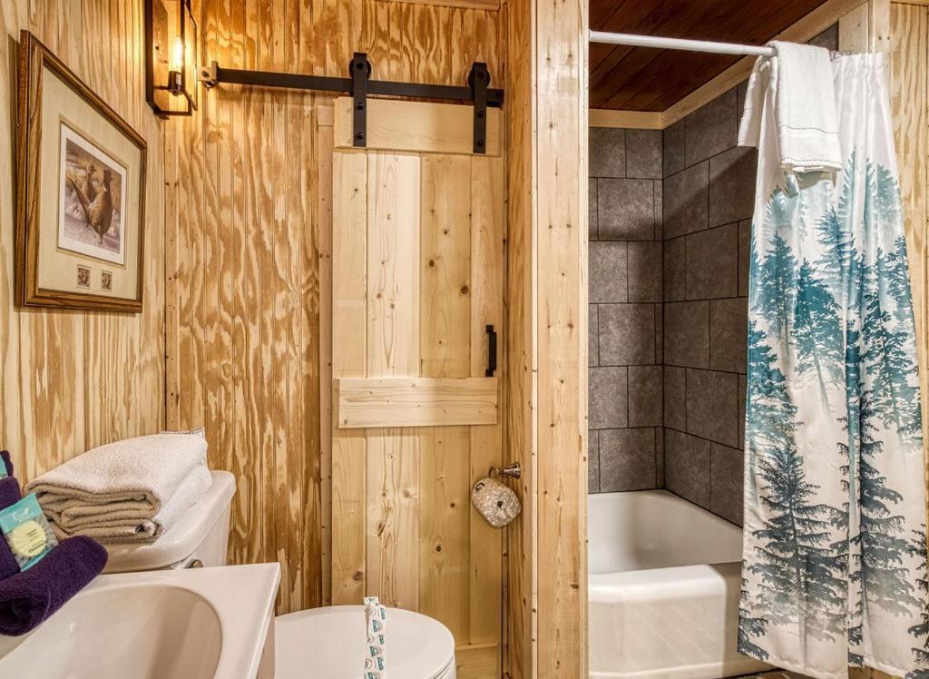جاتلينبرج Black Bear Falls - With An In-Law Suite المظهر الخارجي الصورة
